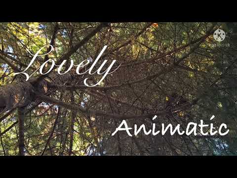 Lovely OC animatic