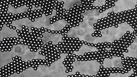 Colloidal Crystal