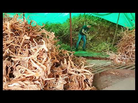 Spiderwood warehouse