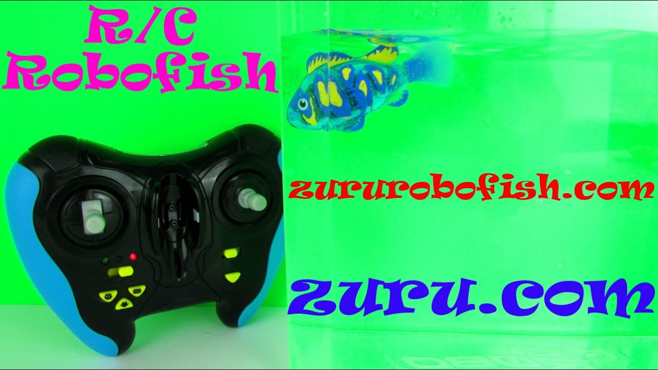 r c robofish the