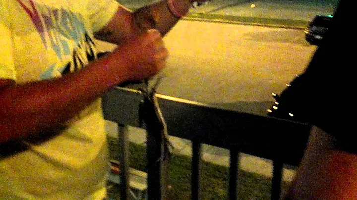 Crab Visit