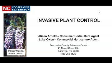 Invasive Plant Control