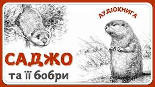 САДЖО ТА ЇЇ БОБРИ (Сіра Сова) - дитячий пригодницький роман | Слухати аудіокнигу українською мовою