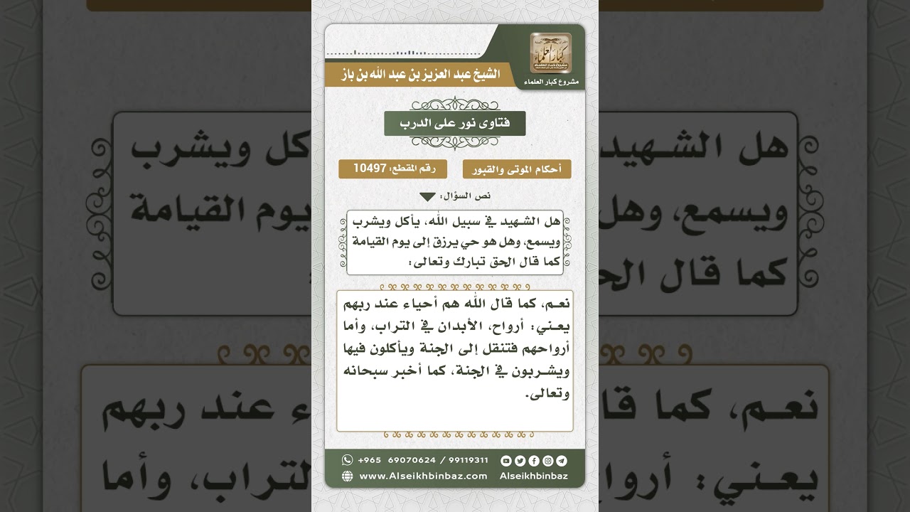 10497 -  حال الشهداء في البرزخ -  نور على الدرب