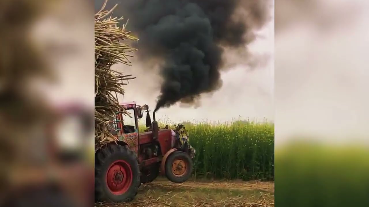 Ganne Ki Loading | Tractor Trolley Sugarcane Loading | Village Vlog 🚜🌾