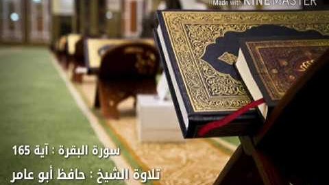 سورة البقرة آية (١٦٥) بصوت الشيخ حافظ أبو عامر
