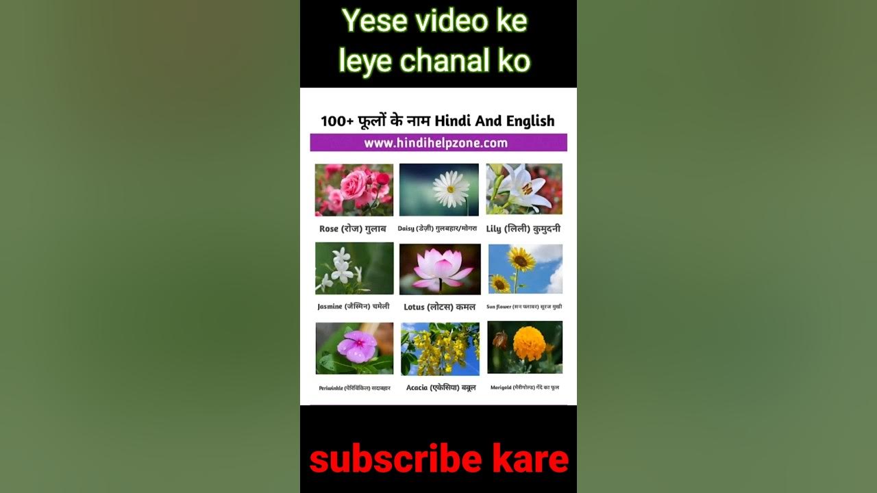 100-hindi-and-english-fulo-ke-name-in-hindi-fulo-ke