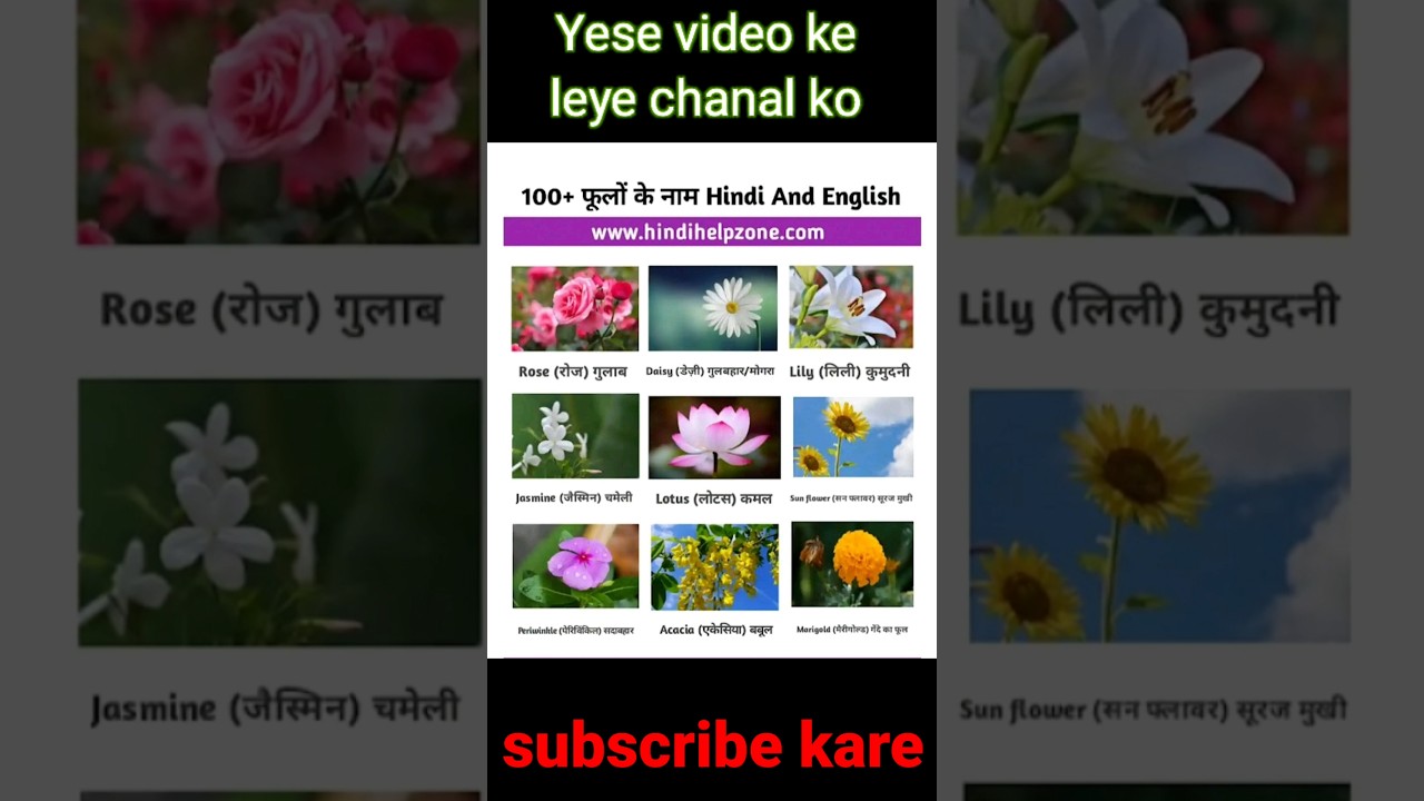 100 Hindi And English Fulo Ke Name In Hindi fulo Ke 100 Hindi And English Fulo Ke Name In Hindi fulo Ke
