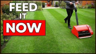 When to MOW and FEED a new lawn? by Garden Lawncare Guy 59,789 views 2 years ago 7 minutes, 16 seconds