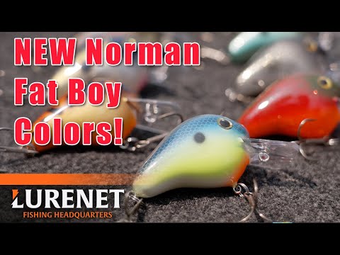Norman Lures Releases NEW Fat Boy Color Line-up - YouTube
