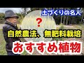 【 土づくりの名人】「自然農法」「無肥料栽培」におすすめの植物とは？クロタラリア
