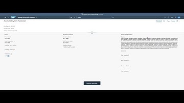 J60    4 6 1 Schedule Payment Proposals   Automating Payment Processes  A Step by Step Guide 💰