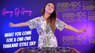 Download lagu DJ GEMOY - What You Come For x Owi Owi Thailand Style mp3