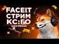 🔴СТРИМ КС ГО ОТ СИЛЬВЕРА ДО ФЕЙСИТ 10 ЛВЛ/ СТРИМ CS GO/ СТРИМ ПО КС ГО/ ОПЕРАЦИЯ/ STREAM CSGO FACEIT