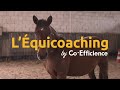 Lquicoaching by coefficience