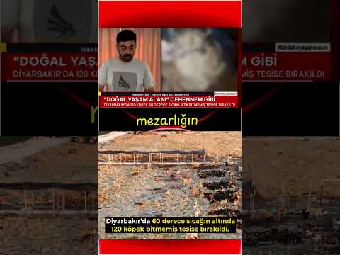 YARADILANI SEVERİZ YARADAN ÖTÜRÜ DERDIK.!! MÜSLÜMAN BİR ÜLKEYDIK BU NASIL İNSANLIK BU NASIL MÜSLÜMANLIK.??