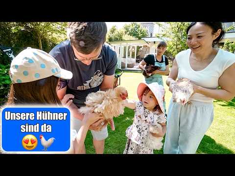 Our chickens are here 😍🐓 Mamiseelen thumbnail
