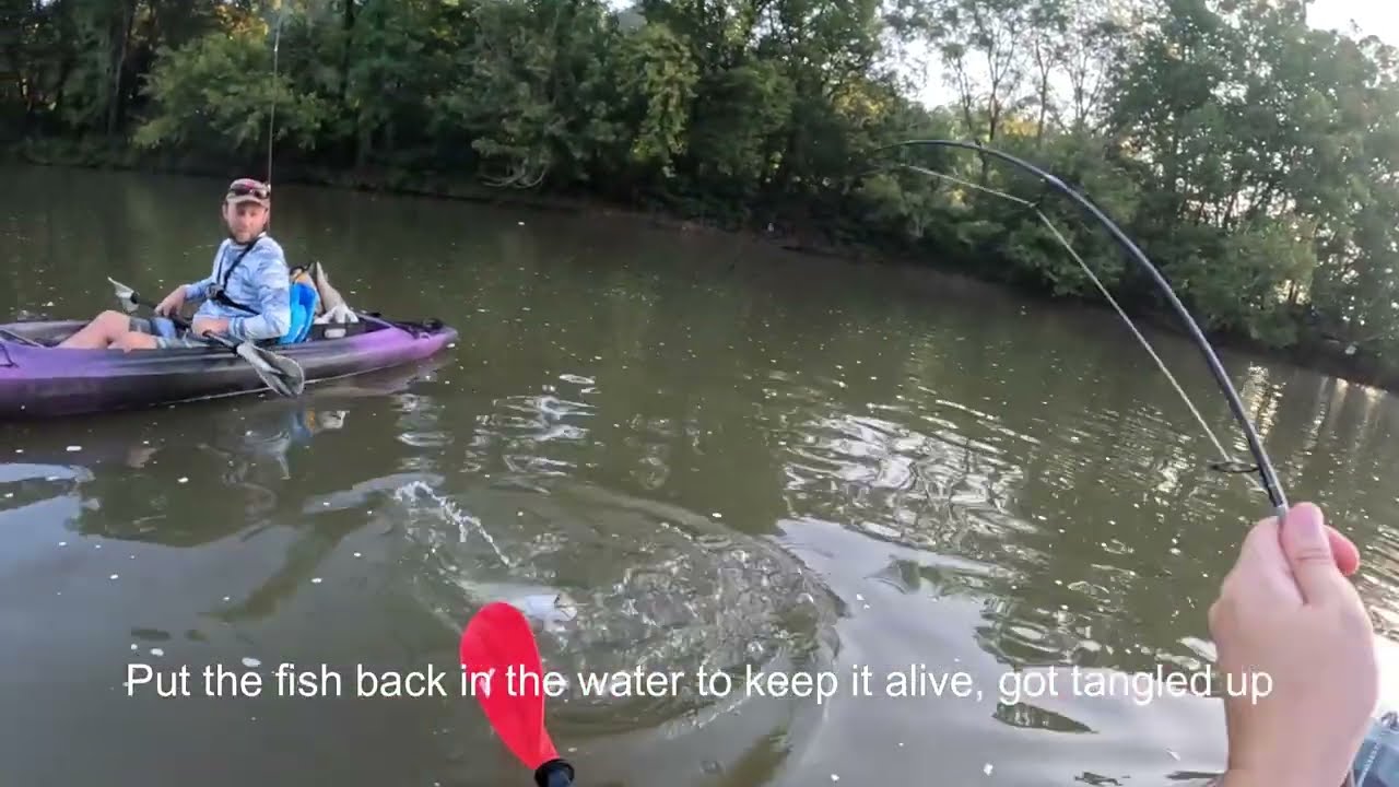 Hellgramite will catch anything! | Kayak bass fishing