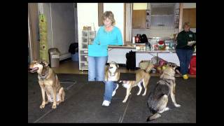 2011 Winter Fun 1.avi