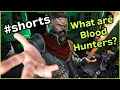 What is a blood hunter in dd