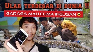DI TEMUKAN ULAR TERBESAR DI DUNIA ( worm zone.io ) memakan garaga screenshot 1