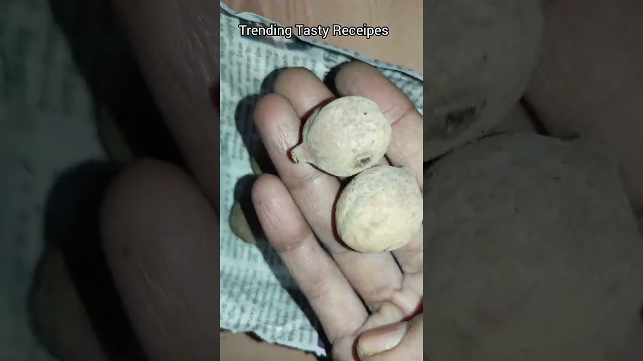 தான்றிக்காய்/Thandrikkai /Terminalia bellirica/baheda