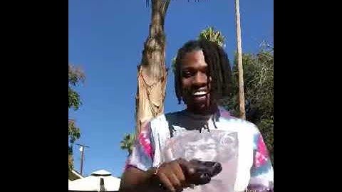 Warhol.ss previews new music