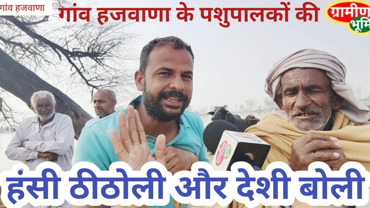 गांवों में घटता पशुधन बड़ा खतरा, गांव हजवाणा के पशुपालकों ने बताई गांव की पशुपालन व्यवस्था।