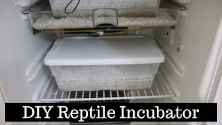 New DIY Reptile Incubator - Benjamin's Exotics