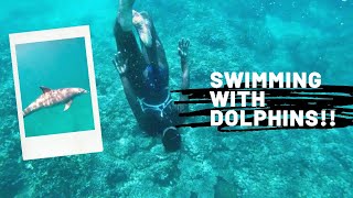 SWIMMING WITH DOLPHINS IN WASINI| Itinerary and How much it costs