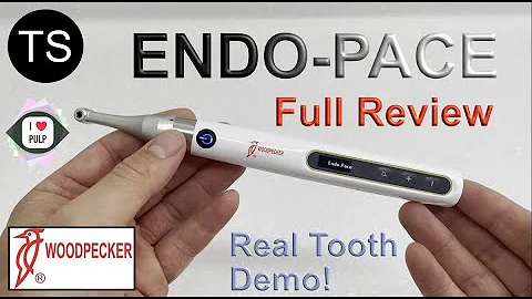 BEST BUDGET ENDO MOTOR? | Endo-Pace endodontic motor (FULL REVIEW)