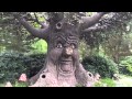 Говорящее дерево в парке Efteling (Нидерланды)