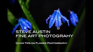 Macro Flower Photography Tutorial: 5 Secrets for Fine Art Results