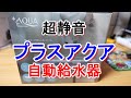 【自動給水器】プラスアクアが来たー。