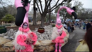 Wild Days with Chuck Cureau | SeaWorld San Antonio
