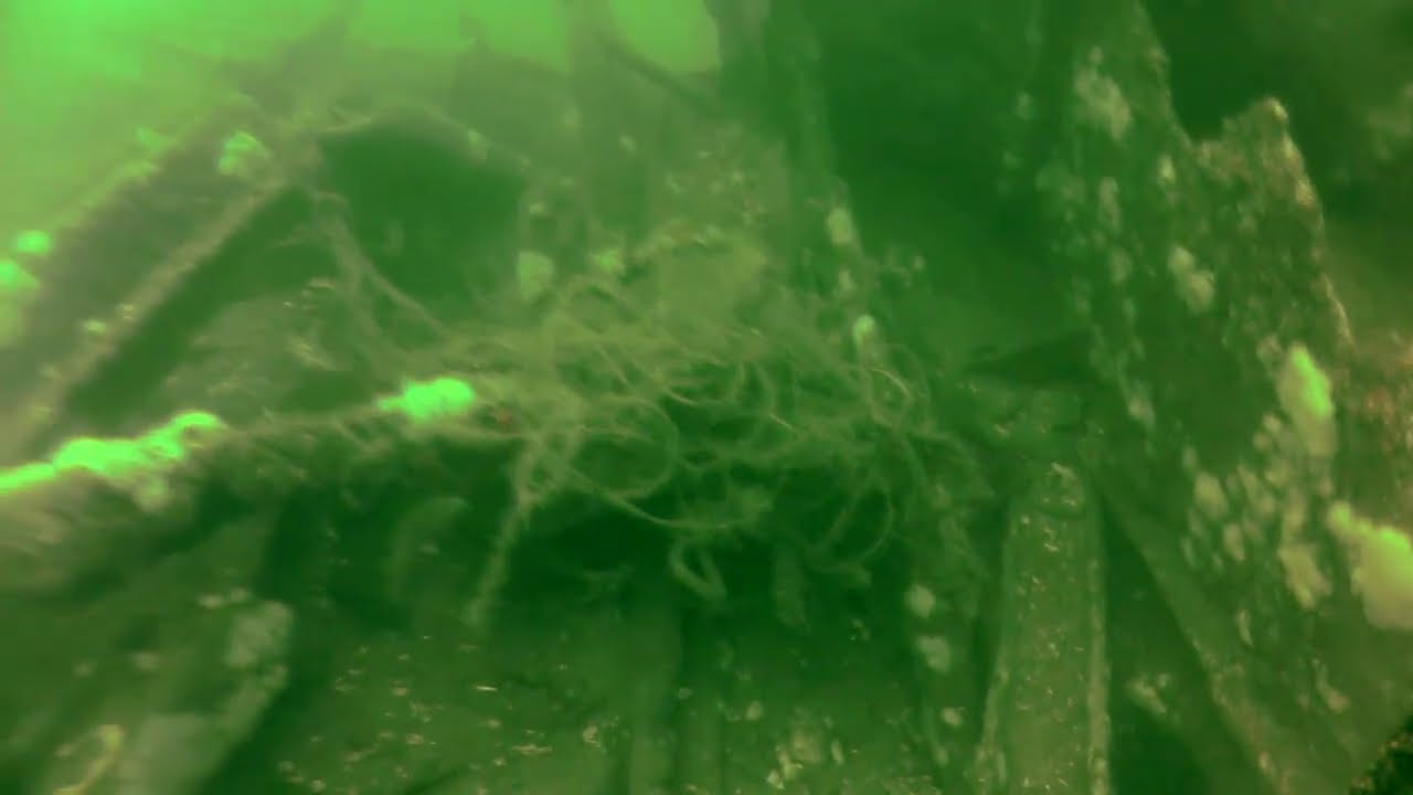 mechanicsburg Great Underwater Footage of the Gloria Wreck, NJ