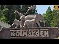 Kolmården Zoo, Sweden | kolmårdens djurpark | kolmården wildlife park | Dolphin Show | Safari Ride