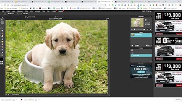 Pixlr Editor Remove a Complex Background From a Photo with the Lasso Tool