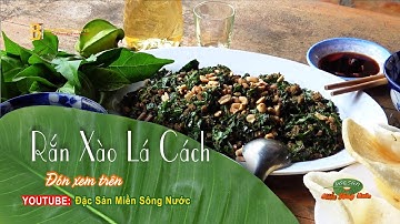 ĐSMSN - Rắn xào lá cách | Cuisine of Mekong Delta