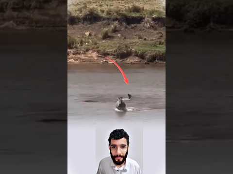 لا رحمة في النهر ولا شفقة من الأم النهاية كانت مأساوية 