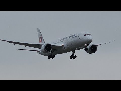 LIVE Airport Front Row #Planespotting View! Thursday July 17, 2025 LAX Runways 24L & 24R