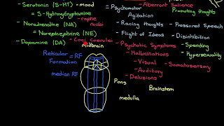 Bipolar Disorder Part 2