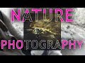 Nature photography walk with the sony a7r iv and tamron lenses