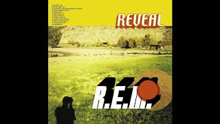 R.E.M. Unmixed - The Lifting (Centre Track of the 5.1 Version)