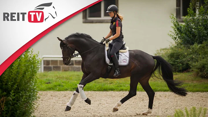 Stories | Reiten als Beruf - Ann-Kristin als Dress...