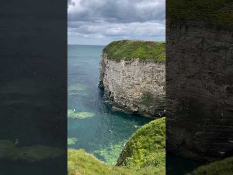 Breathtaking views over Bridlington bay. #flamborough #flamboroughhead #travel #summer #nature