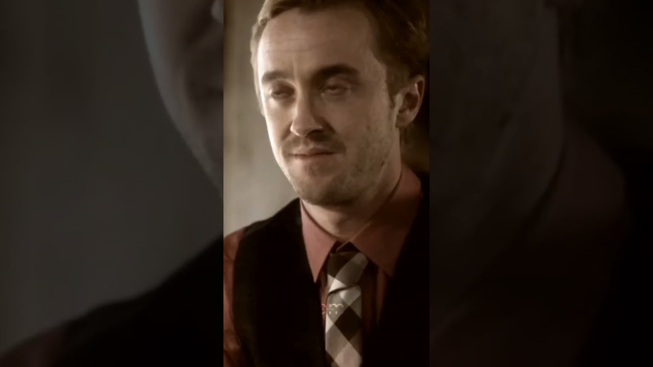 POV Hermione Thought She Was Seeing Draco For The Last Time Years Later There Is A Reunion
