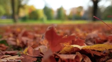 111 سورة المسد بصوت كروان السماء الشيخ محمود على البنا