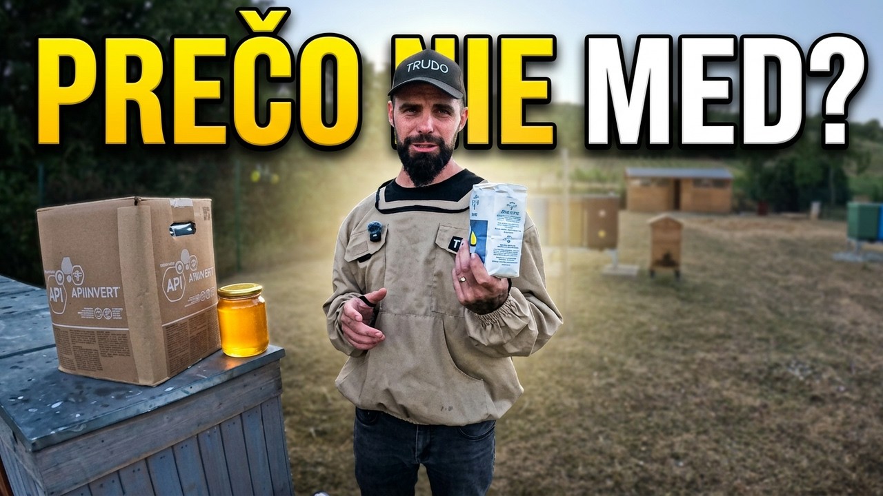 Prečo včelári kŕmia včely cukrom, keď majú med? 🐝🍯