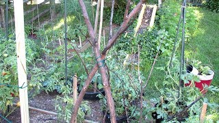 How to Make Inexpensive/Free Trellises for Your Vegetable Garden: Basic Materials, Tools & Designs